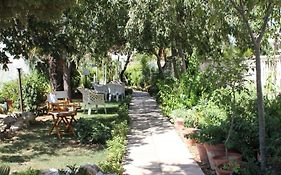 B&B Solacium